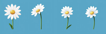 Four white daisies with yellow centers on a light blue background, depicting a cheerful and fresh floral design. Ideal for spring and nature themes.の素材