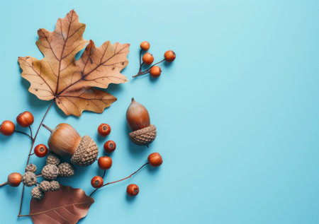 Autumn leaves, acorns, and berries arranged beautifully on a bright blue background, showcasing the colors and textures of the fall season.の素材