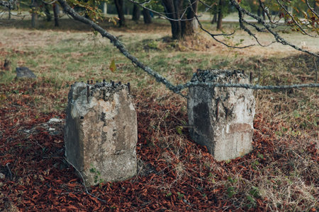 A serene forest setting with two weathered tombstones nestled near a tree in the grass