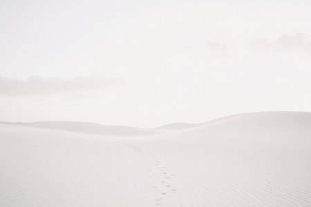 Tranquil desert landscape with soft white sand dunes and serene atmosphere, evoking feelings of isolation and peace in nature s beautyの素材