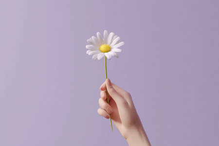 A delicate hand holding a daisy flower against a soft lavender background, evoking feelings of peace, beauty, and calmnessの素材