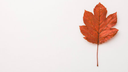 Vibrant autumn red maple leaf on a light background symbolizes the beauty of fall with warm colors, ideal for seasonal themes and nature conceptsの素材
