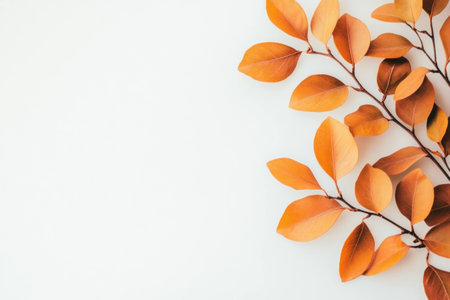 Autumn leaves on a white background, showcasing a warm color palette and seasonal charm, perfect for themes of nature, change, and cozy aestheticsの素材