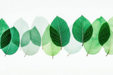 Artistic arrangement of green leaves displaying various shades and transparencies, symbolizing nature, freshness, and eco friendliness, perfect for environmental themesの素材