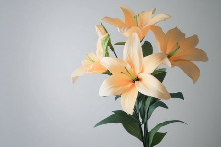 Elegant bouquet of soft peach lilies on a light gray background, perfect for celebrating beauty and tranquility in floral arrangementsの素材