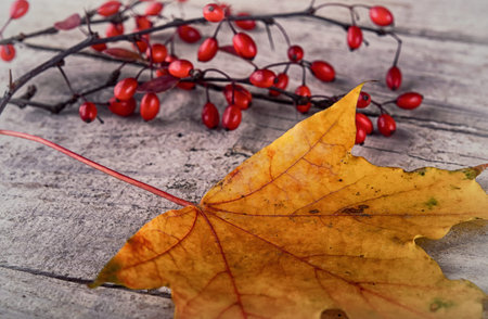 Autumn Leaves over wooden background