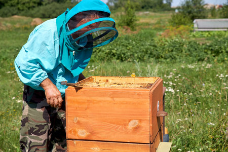 The concept of apiary, beekeeping in summer in village. An elderly man is professional beekeeper in...