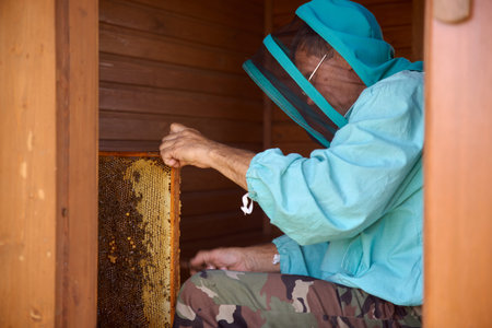 Professional beekeeper apiarist, dressed in blue costume and special hat, protecting him from bees,...