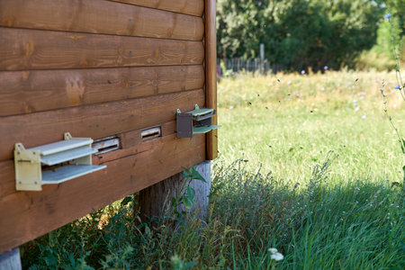 Close shot of wooden beehive with flying bees on a flowered village field. Apiary in Russian...