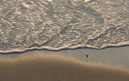 Sea Foam and Sand on Martha's Vineyard Beach