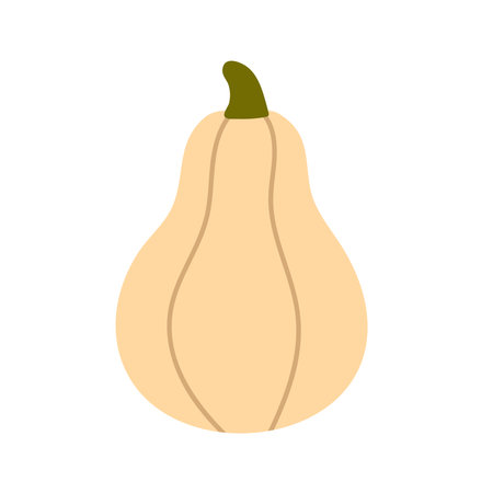 Light-colored squash with rounded body and short stem, ideal for harvest season design and food-themed illustrationsのイラスト素材