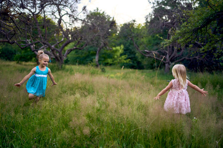 two little sisters in dresses playing together in the tall grassの写真素材