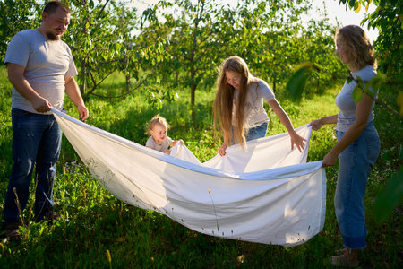 family of four is playing with a white sheet in the garden, a toddler wants to flutter the sheetの写真素材