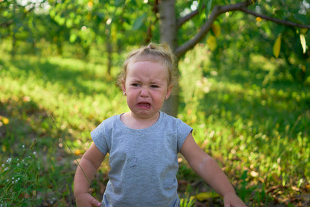 toddler screams and cries in front of family on picnic in gardenの写真素材