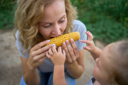 a  mother with toddler and teenager eating raw corn in green corn field