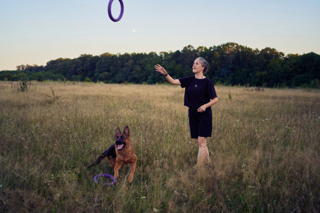 two women play in the field with a german shepherd dog toy at a sunset