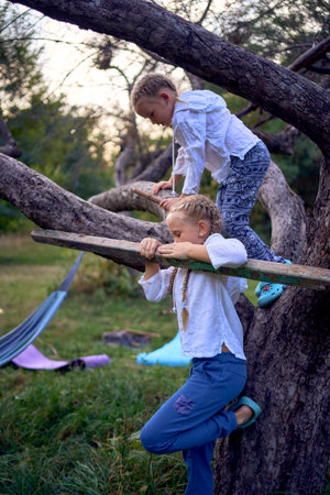 little sisters girls climb a tree, mother secures them below, camping with the childrenの写真素材