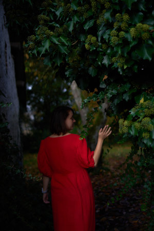 a 30-year-old medium-sized woman in a red muslin dress in an autumn gardenの写真素材