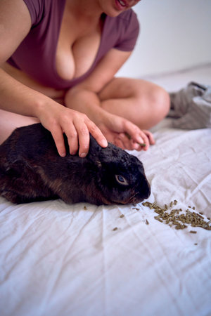 a  young plus size woman in home clothes playing with her pet rabbit on bed in student dormitoryの写真素材
