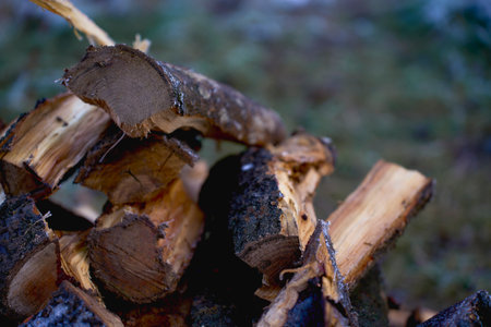 the  wet chopped firewood on a pile outside in winterの写真素材