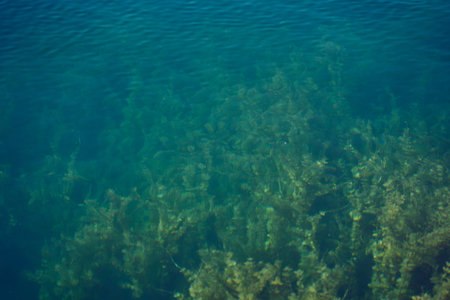 panoramic view of Lake Bled with the island church and mountains in the backgroundの写真素材