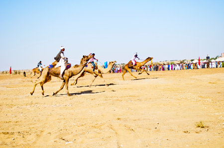 Camel Race during Desert Festival in Jaisalmer, Rajasthan, India, Asiaのeditorial素材