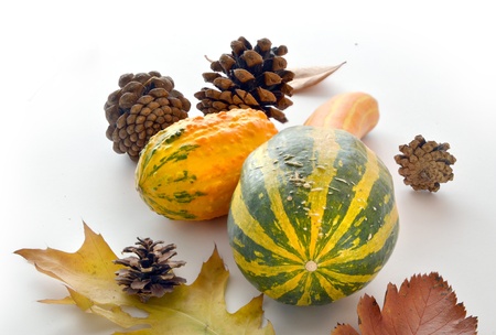 Gourds, leaves and cones representing autumn symbolsの写真素材