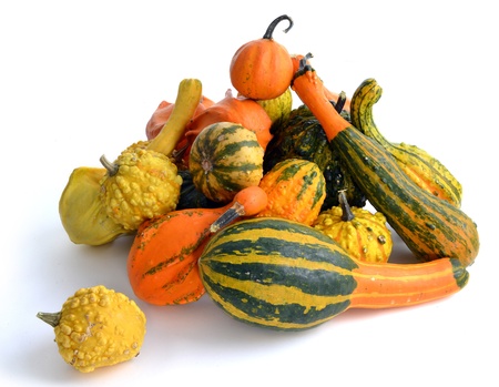 Bunch of gourds of different color and shapeの写真素材