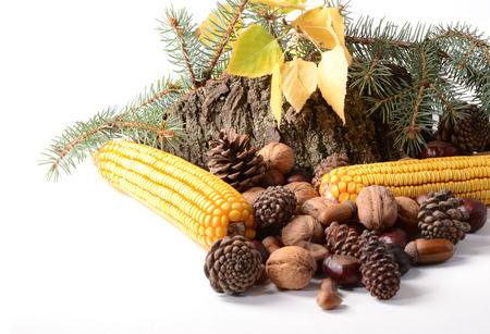 Autumn still-life with large group of products like  corn,  hazelnut, chestnut and moreの写真素材