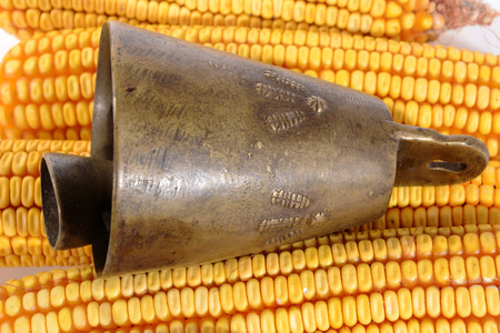 Old brass bell on cornの写真素材