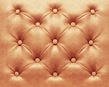 Luxury decorated  leather close-up textureの写真素材