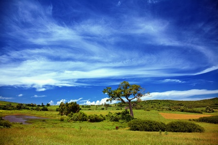 Beautiful summer landscape with blue skyの写真素材