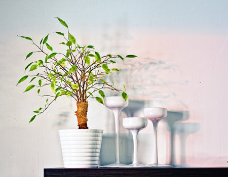 Living room shelve in sunset lighting effect photoの写真素材