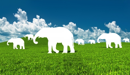 silhouettes of elephants carved out of the picture  illustrated concept の写真素材