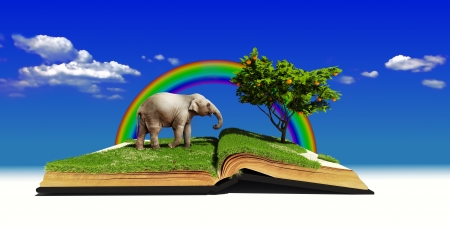 open book with elephant on the grass  illustration  concept の写真素材