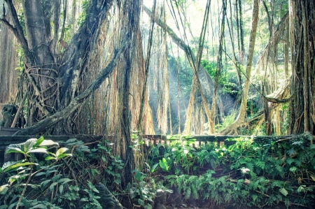 lost town in jungle photoの写真素材