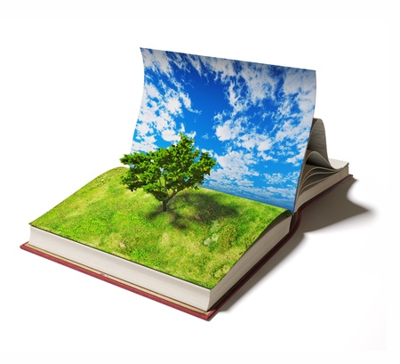 open book with tree on the  page  Ilustrated conceptの写真素材