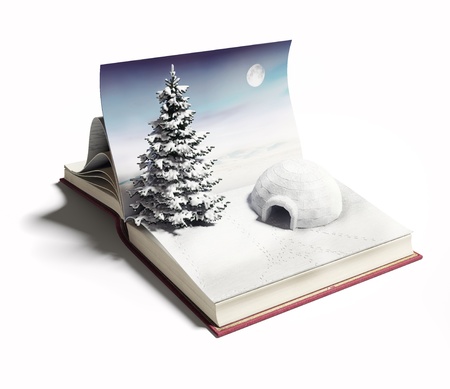 igloo on the open book  3d conceptの写真素材