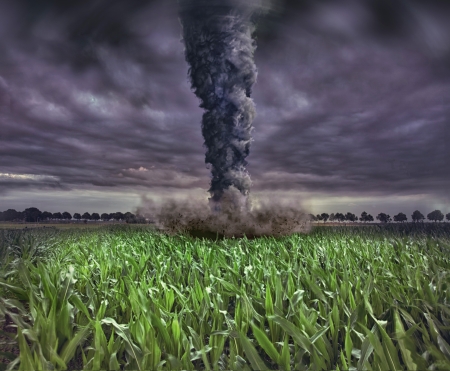 large tornado over the meadow  photo and 3D elements compilation  の写真素材