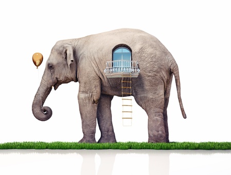 elephant as a house  creative conceptの写真素材