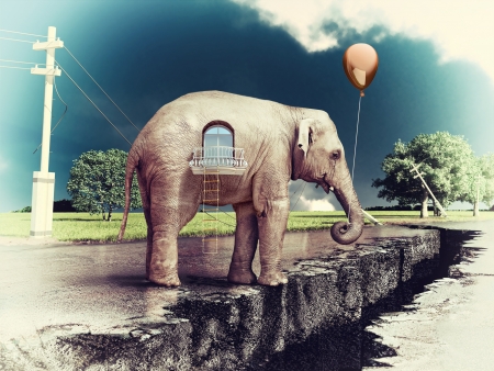 elephant as a house on the cracked road  concept   photo and hand-drawing elements combined   の写真素材