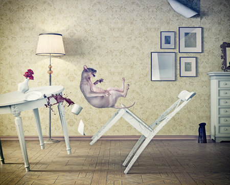 cat falling  in vintage room. 3d conceptの写真素材