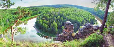 panoramic view of siberian taiga landscape at summer の写真素材