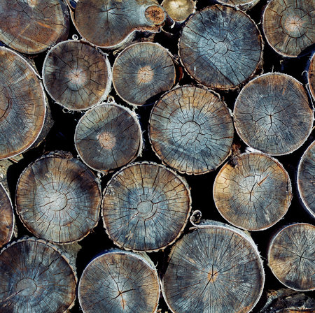 Pile of wood logs ready for winter close-up texture