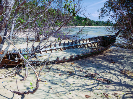 skeleton boat thrown into the bushes on the coastの写真素材