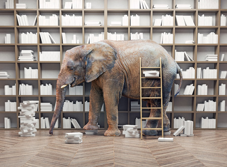 an elephant  in the room with book shelves. Creative conceptの写真素材