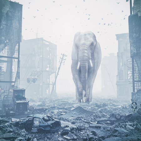 giant elephant in destroyed city. creative concept. Media mixed. Noise addedの写真素材