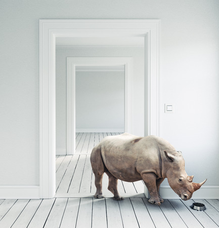 Rhino in the room as a pet. CG and photo combinationの写真素材