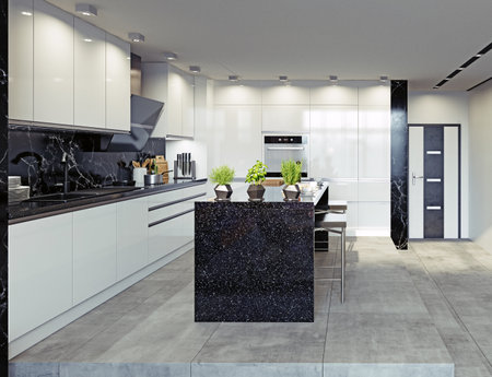 modern kitchen interior. 3d rendering conceptの写真素材