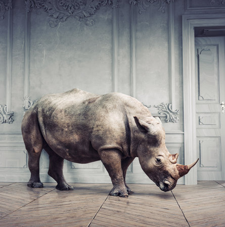 wild rhino in the luxury room interior. photo and media mixed creative conceptの写真素材